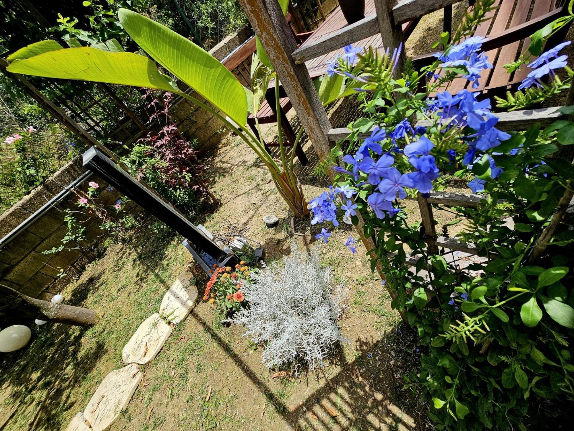 Prestige Casa Vacanze Catanzaro Exterior foto